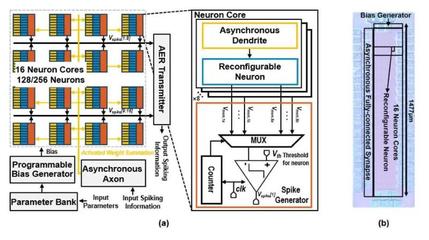 上海交大王国兴团队研发出高能效脉冲神经网络加速器芯片，为类脑计算与边缘智能注入新动能